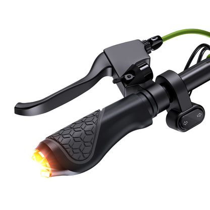 ISINWHEEL S10 MAX - Trottinette électrique 1000W 48V 15AH