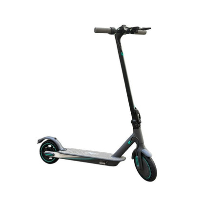 ROVER V8 (JQ88) - Trottinette électrique 350W 36V 10AH