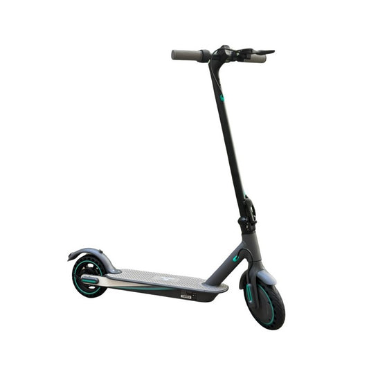 ROVER V8 (JQ88) - Trottinette électrique 350W 36V 10AH