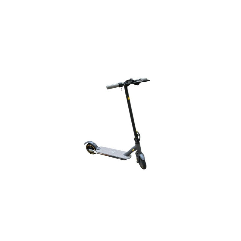 ROVER V8 (JQ88) - Trottinette électrique 350W 36V 10AH